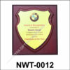 NWT-0012 Wooden Shield Wall Plaque