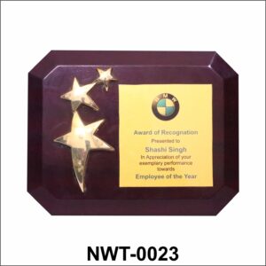 NWT-0023 BMW Star Performer Wooden Plaque