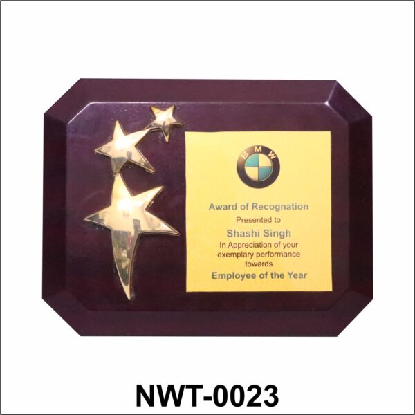 NWT-0023 BMW Star Performer Wooden Plaque
