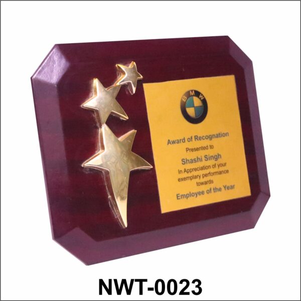 NWT-0023 BMW Star Performer Wooden Plaque