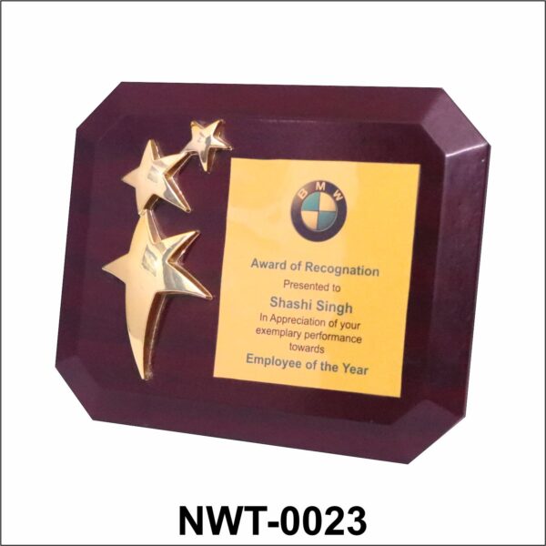 NWT-0023 BMW Star Performer Wooden Plaque