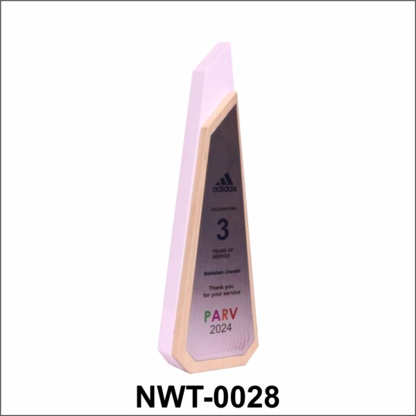 NWT-0028 -3 Years of Service Appreciation Trophy